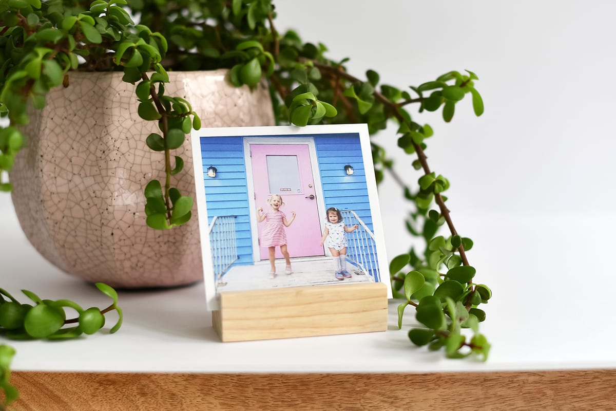 A square photo print in a wooden photo block in front of a houseplant.