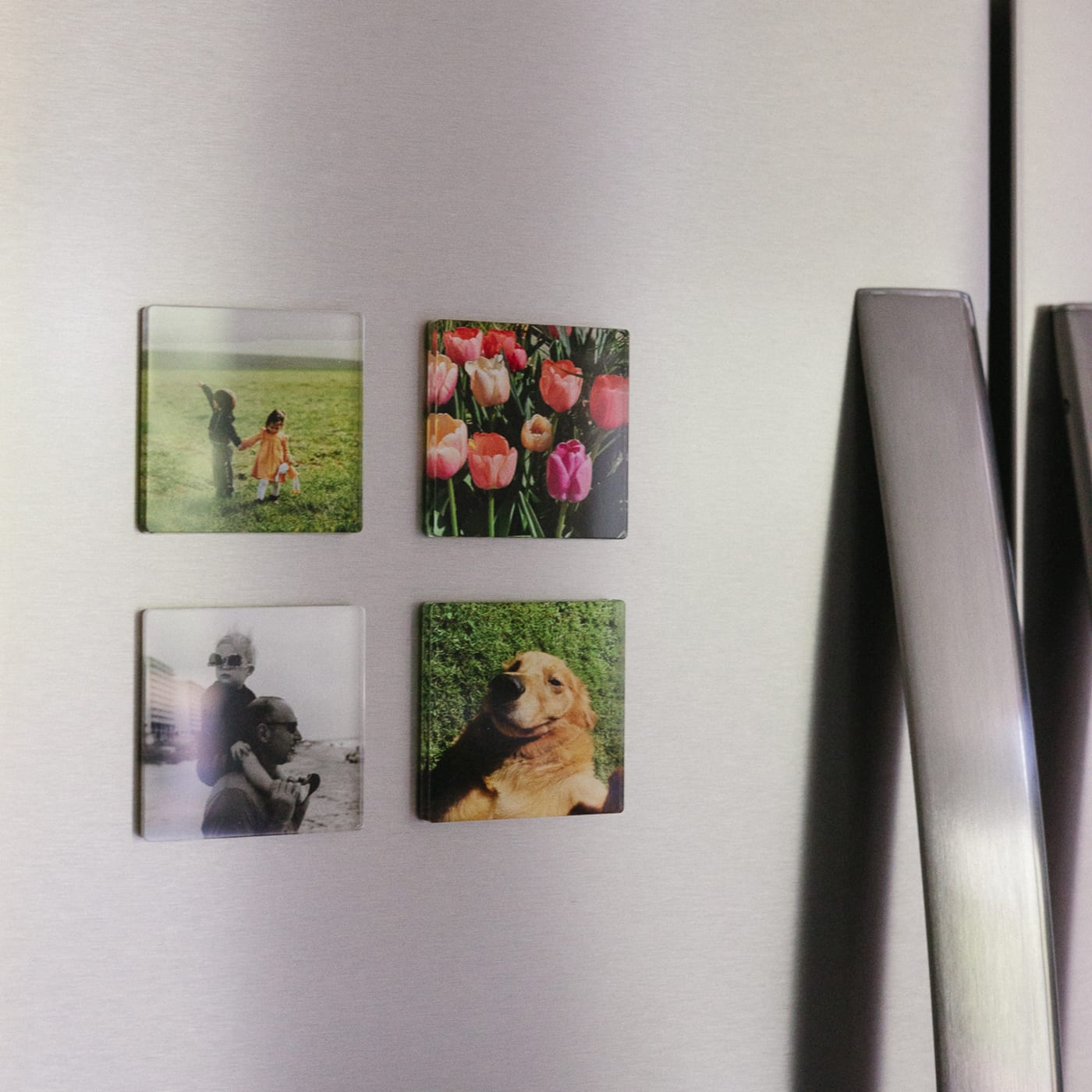 Parabo Press: Acrylic Magnets