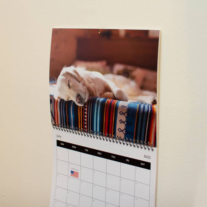 A Custom Photo Calendar showing a sleeping puppy is filled with dates imported directly from Ancestry data.