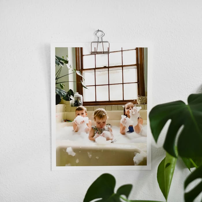 An 8x10 photo of three kids swimming, hangs above a houseplant from a single Small Skeleton Clip.