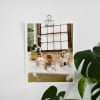 An 8x10 photo of three kids swimming, hangs above a houseplant from a single Small Skeleton Clip.