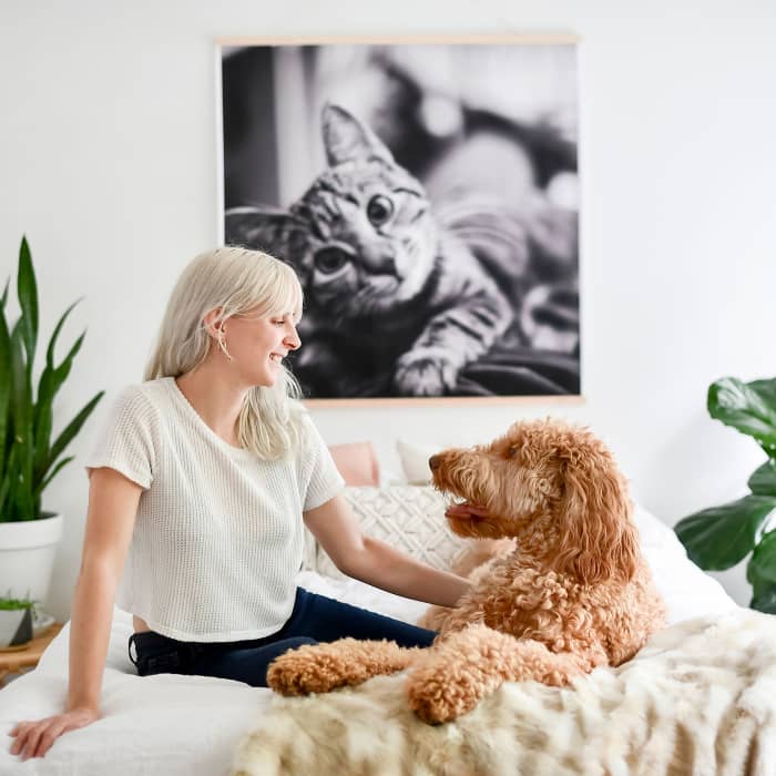 A Square Engineer Print hangs from Maple Poster Rails above a bed. A dog and its owner sit on the bed.